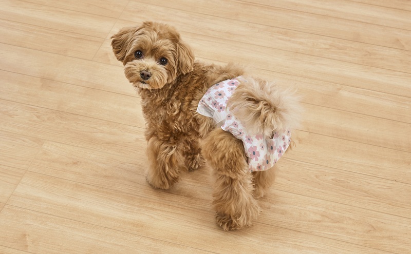 【38枚入り×6袋】ペット用おむつ ピタフィット XS 38枚入 女の子用 NPD-XS38 ペット 女の子 おむつ オムツ ペットオムツ 長時間 薄型 幅広テープ お知らせライン かわいい