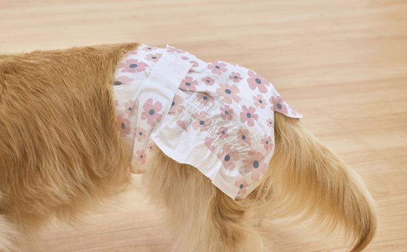 【38枚入り×6袋】ペット用おむつ ピタフィット XS 38枚入 女の子用 NPD-XS38 ペット 女の子 おむつ オムツ ペットオムツ 長時間 薄型 幅広テープ お知らせライン かわいい