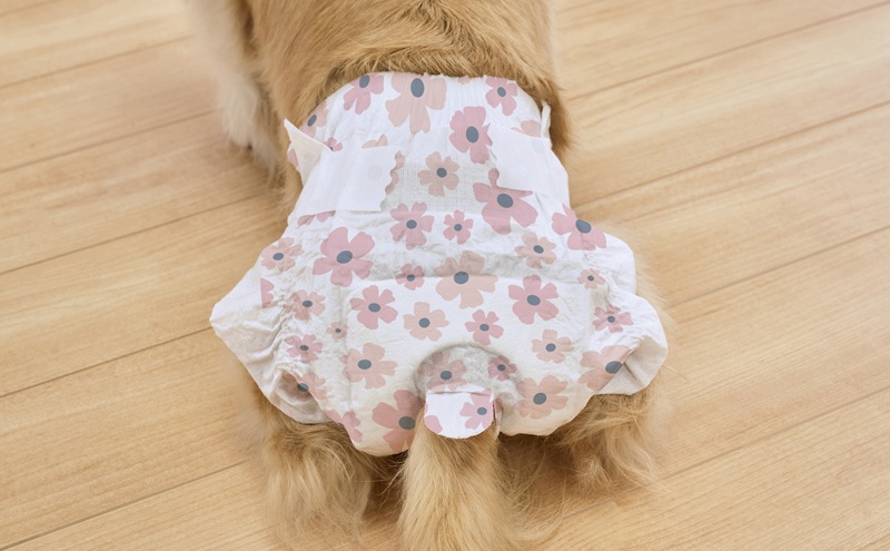 【38枚入り×6袋】ペット用おむつ ピタフィット XS 38枚入 女の子用 NPD-XS38 ペット 女の子 おむつ オムツ ペットオムツ 長時間 薄型 幅広テープ お知らせライン かわいい