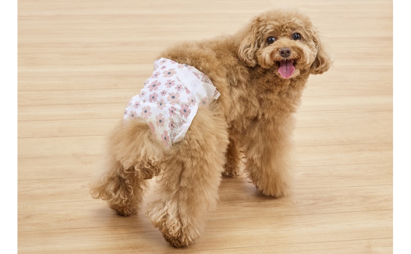 【36枚入り×6袋】ペット用おむつ ピタフィット S 36枚入 女の子用 NPD-S36 ペット 女の子 おむつ オムツ ペットオムツ 長時間 薄型 幅広テープ お知らせライン かわいい