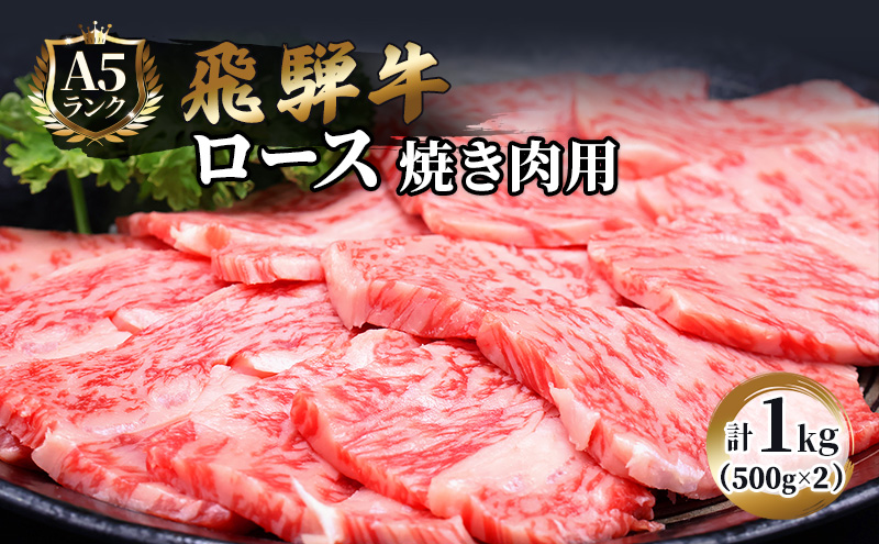 【CF】ふるさと納税　飛騨牛 牛肉 焼肉 ロース 500g×2 計1kg A5 和牛 