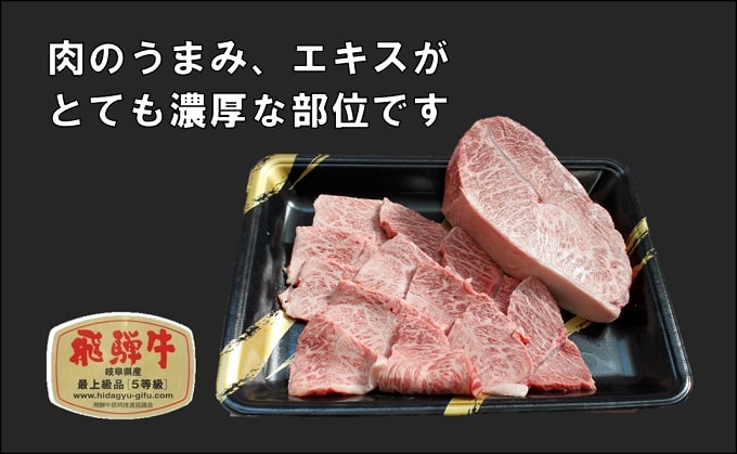 【CF】ふるさと納税　飛騨牛 牛肉 焼肉 肩肉 (ウデ)  500g×2 計1kg A5 和牛 