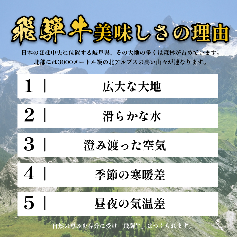 【CF】飛騨牛 牛肉 切り落とし 500g×2 計1kg A5 和牛 焼肉 もも肉 モモ バラ カルビ お肉 ブランド和牛 