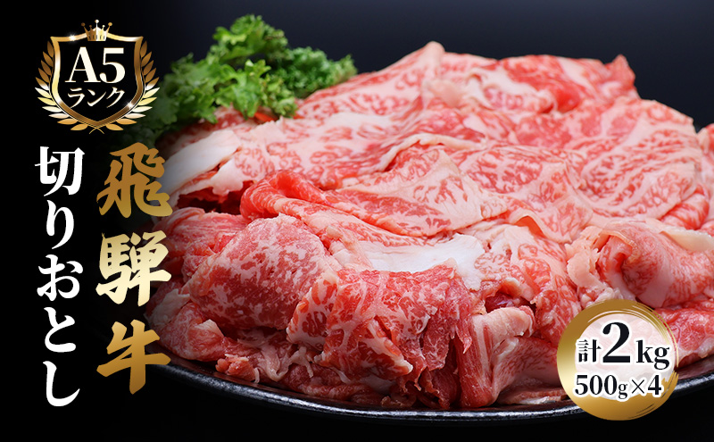 【岐阜県池田町】【CF】飛騨牛 牛肉 切り落とし 500g×4 計2kg A5 和牛 焼肉 もも肉 モモ バラ カルビ お肉 ブランド和牛