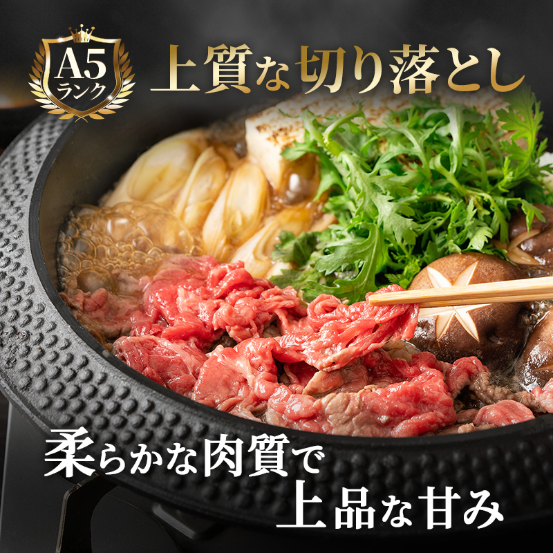 【CF】飛騨牛 牛肉 切り落とし 500g×4 計2kg A5 和牛 焼肉 もも肉 モモ バラ カルビ お肉 ブランド和牛 