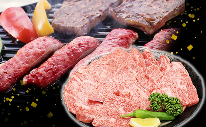 【CF】ふるさと納税　飛騨牛 もも肉 赤身 焼肉 500g A5 和牛 牛肉 お肉 モモ モモ肉 焼肉用 バーベキュー BBQ 