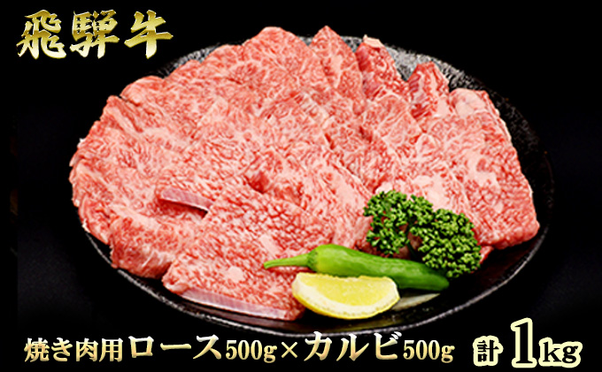 【CF】ふるさと納税　飛騨牛 ロース＆カルビ 焼肉 セット  計1kg A5 和牛 牛肉 お肉 ロース カルビ 食べ比べ 焼肉用 バーベキュー BBQ 