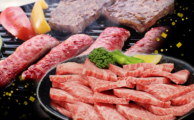 【CF】ふるさと納税　飛騨牛 ロース＆カルビ 焼肉 セット  計1kg A5 和牛 牛肉 お肉 ロース カルビ 食べ比べ 焼肉用 バーベキュー BBQ 