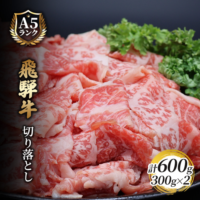 [CF]飛騨牛切り落とし 600g(300g×2) 牛肉 お肉 国産 黒毛和種 柔らかい とろける くちどけが良い 霜降り 細かいサシ 食材 食卓 グルメ
