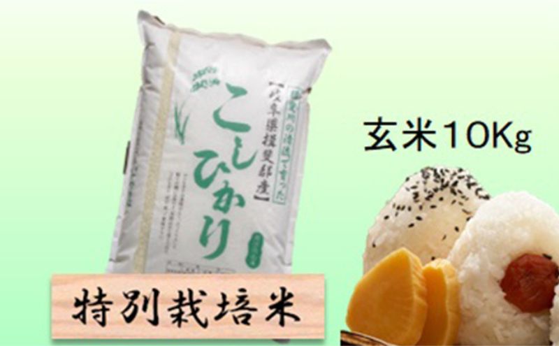 [CF][令和7年産]特別栽培米 10kg[玄米](コシヒカリ)