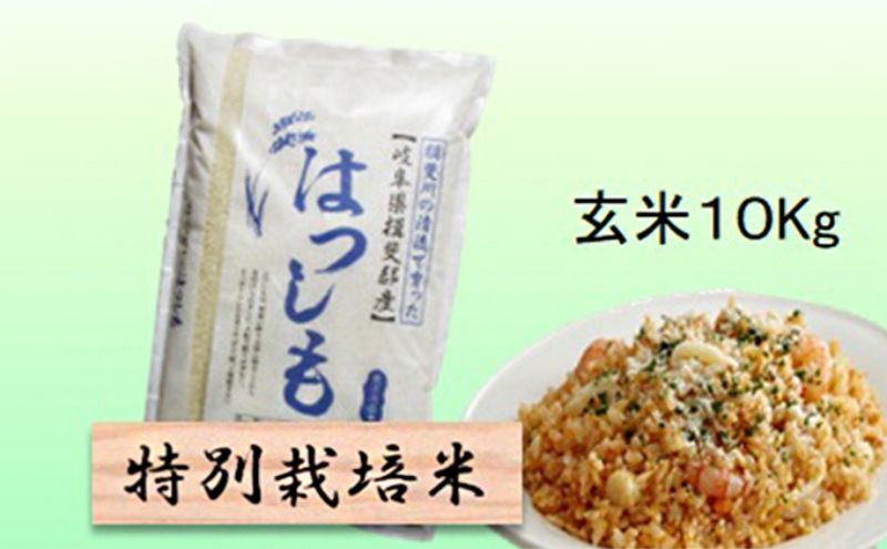 [CF][令和7年産]特別栽培米 10kg[玄米](ハツシモ)
