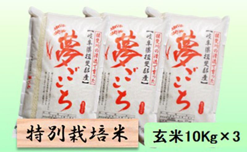【CF】【令和7年産】特別栽培米 30kg【玄米】（夢ごこち）
