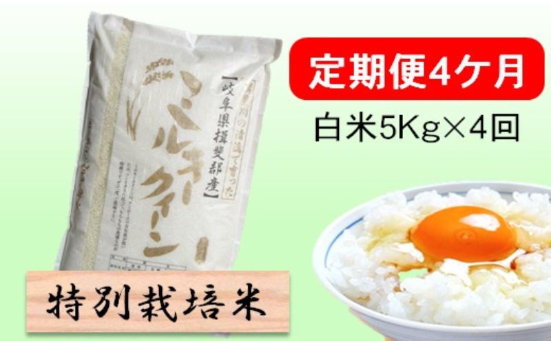 【CF】定期便4カ月【令和7年産】特別栽培米5kg【白米】(ミルキークイーン) 米 お米 白米 コメ ご飯 定期 岐阜県 池田町