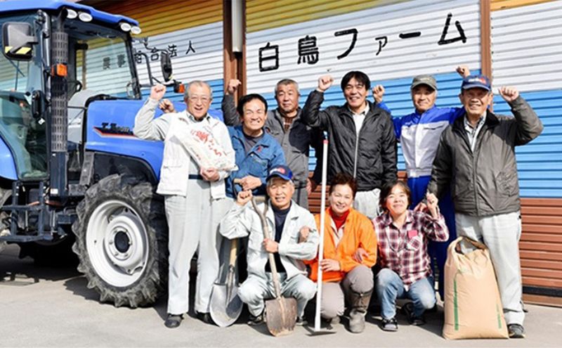 【CF】定期便4カ月【令和7年産】特別栽培米10kg（白米/7分/5分ツキ可）【白米】(夢ごこち) 米 お米 白米 コメ ご飯 定期 岐阜県 池田町