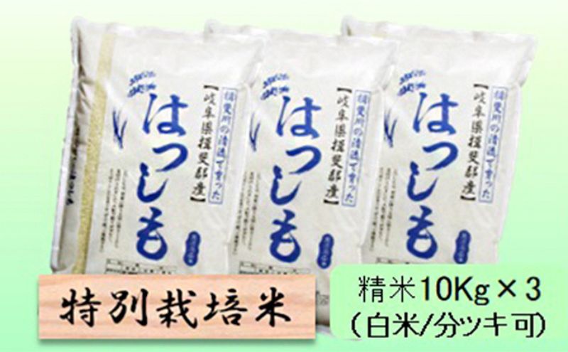 【CF】【令和7年産】特別栽培米 30kg【白米、7分ツキ】（ハツシモ）