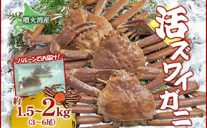 ykCΒzkC ΘpY YCKj 1.5`2kgi3`6j2026N31`4܂Ŕ kCY { VN 킢 YCKj  Jj I JjX VR Θp Yn   ① Β