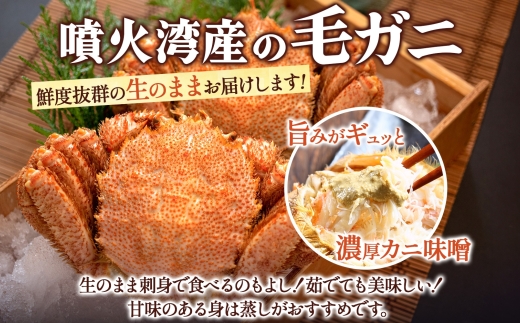 先行受付 北海道 噴火湾産 活毛がに 400g前後×2尾 2026年6月下旬～7月上旬お届け 北海道産 旬 新鮮 毛がに かに カニ 蟹 毛ガニ 毛蟹 カニ味噌 天然 噴火湾 産地直送 お取り寄せ 贈答 冷蔵 洞爺湖町