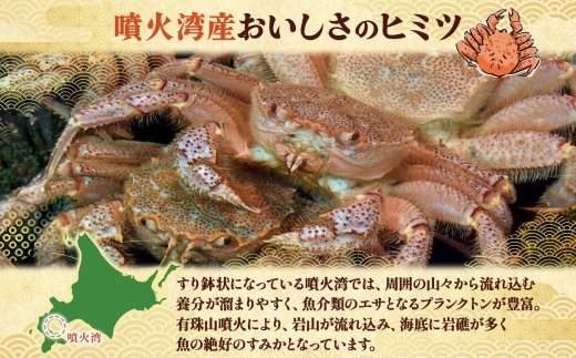 先行受付 北海道 噴火湾産 活毛がに 400g前後×2尾 2026年6月下旬～7月上旬お届け 北海道産 旬 新鮮 毛がに かに カニ 蟹 毛ガニ 毛蟹 カニ味噌 天然 噴火湾 産地直送 お取り寄せ 贈答 冷蔵 洞爺湖町