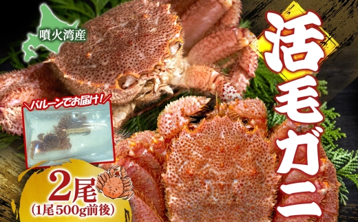 ykCΒzst kC ΘpY т 500gO×2 2026N6{`7{͂ kCY { VN т  Jj I уKj ъI JjX VR Θp Yn  ① Β