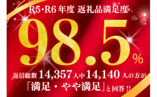【nishikawa/西川】羽毛肌掛けふとん（増量タイプ）／フランスホワイトダッグ（ミュラー種）93％／0.5kg／シングルサイズ／日本製【P397W】