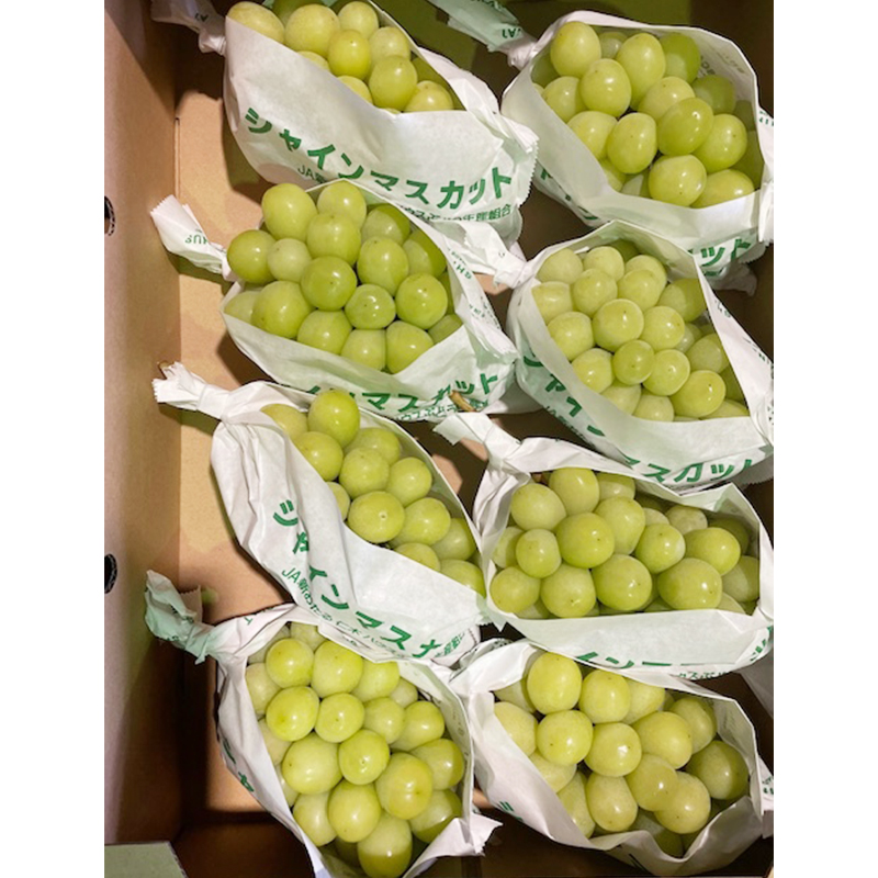 北海道仁木町のふるさと納税 [先行受付] 北海道 仁木町産 シャインマスカット 7～10房 5kg 果物 ぶどう フルーツ 果物類 ブドウ マスカット [JA新おたる]