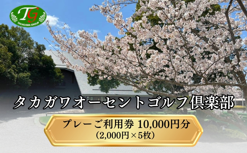 yɌsz^JKI[ZgSty St p 10,000~ (2,000~×5) Sp St v[ p  N[| Ɍ s