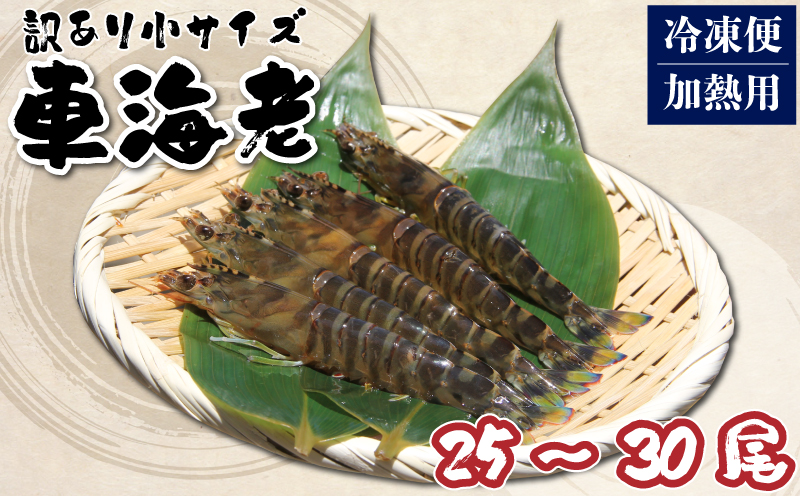 訳あり 車海老 小サイズ 25～30尾 計約150g 加熱用 冷凍 規格外 大きさ不揃い