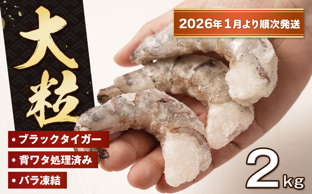 至福の大粒むきえび　背ワタ処理済 2kg（1kg×2袋）【2026年1月より順次発送】　ブラックタイガー 冷凍 ムキエビ  大型 海老