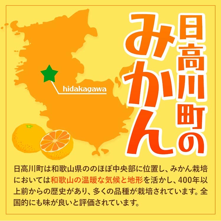 みかん 八朔 厳選 S～Mサイズ 約10kg｜GOGO農園 和歌山県 日高川町 はっさく みかん 柑橘 蜜柑 フルーツ 送料無料