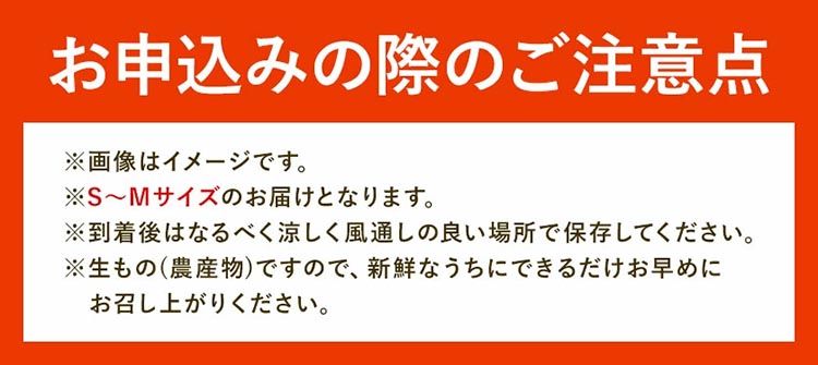 みかん 八朔 厳選 S～Mサイズ 約10kg｜GOGO農園 和歌山県 日高川町 はっさく みかん 柑橘 蜜柑 フルーツ 送料無料