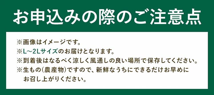 みかん 八朔 厳選 L～2Lサイズ 約10kg｜GOGO農園 和歌山県 日高川町 はっさく みかん 柑橘 蜜柑 フルーツ 送料無料