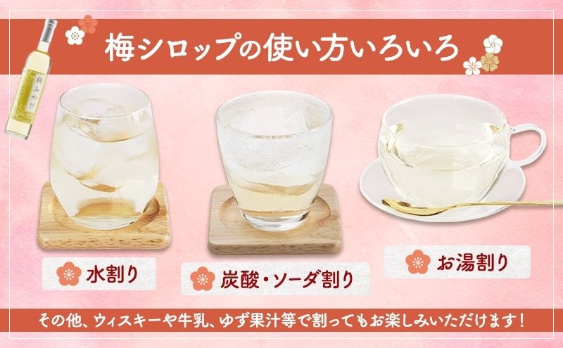 大河原町観光物産協会　特産品Fセット 梅シロップ ゆず 唐辛子 ぽん酢 しょうゆ 田楽みそ 加工食品 調味料 ポン酢 醤油 とうがらし 田楽 みそ 味噌 薬味 味付け 田楽味噌