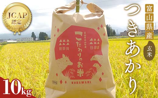 【富山県立山町】《数量限定》令和7年度産 つきあかり 玄米 10kg 米 お米 新米 ごはん おにぎり 富山 立山 北アルプス 健康志向 JGAP認定 F6T-845