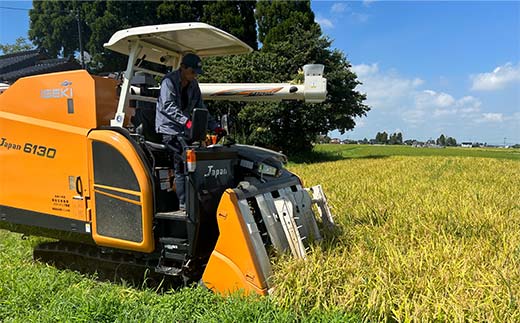 《数量限定》令和7年度産 つきあかり 玄米 20kg 米 お米 新米 ごはん おにぎり 富山 立山 北アルプス 健康志向 JGAP認定 F6T-846