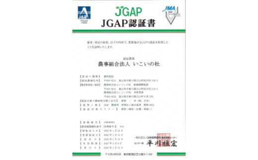 《数量限定》令和7年度産 富富富 玄米 20kg 米 お米 新米 ごはん おにぎり 富山 立山 北アルプス 健康志向 JGAP認定 F6T-848