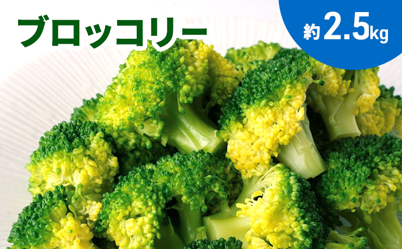 ブロッコリー　約２.5kg