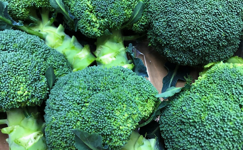 ブロッコリー　約２.5kg