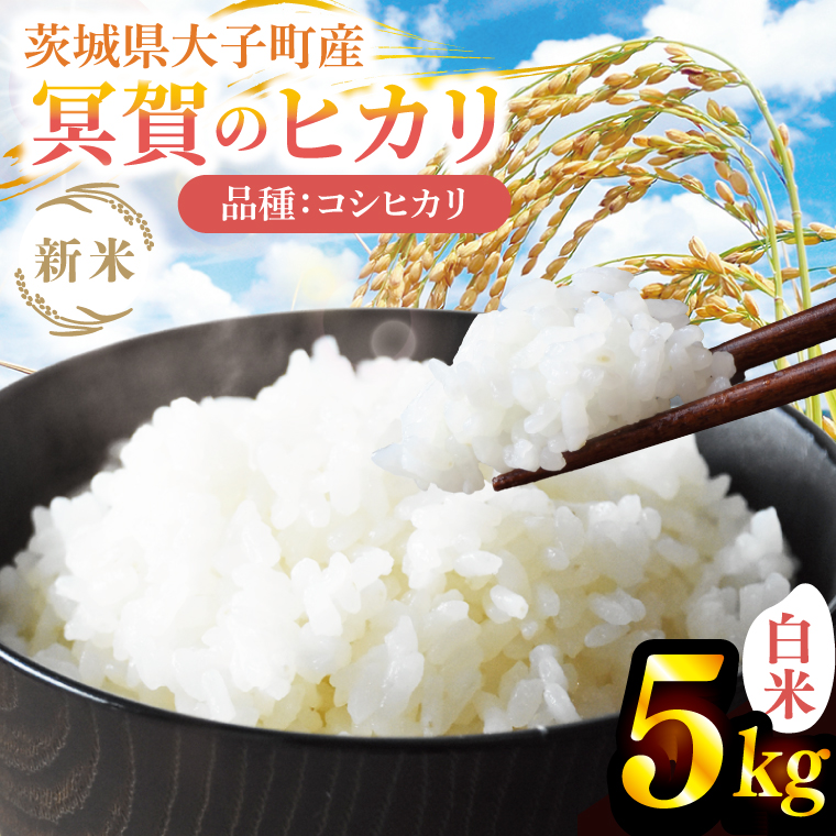 [先行予約][10月上旬より順次出荷予定]新米5kg 「冥賀のヒカリ」コシヒカリ(白米)令和7年産 |茨城県 大子町 奥久慈 天日干し米 おだがけ米 はざがけ米 いねかけ米 米 精米 ご飯 数量限定