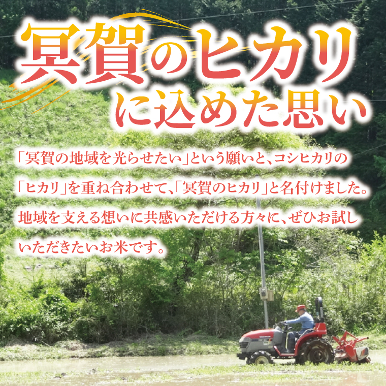 【先行予約】【9月下旬より順次発送予定】新米5kg 「冥賀のヒカリ」コシヒカリ（白米）令和7年産 ｜茨城県 大子町 奥久慈 天日干し米 おだがけ米 はざがけ米 いねかけ米 米 精米 ご飯 数量限定(DA001)