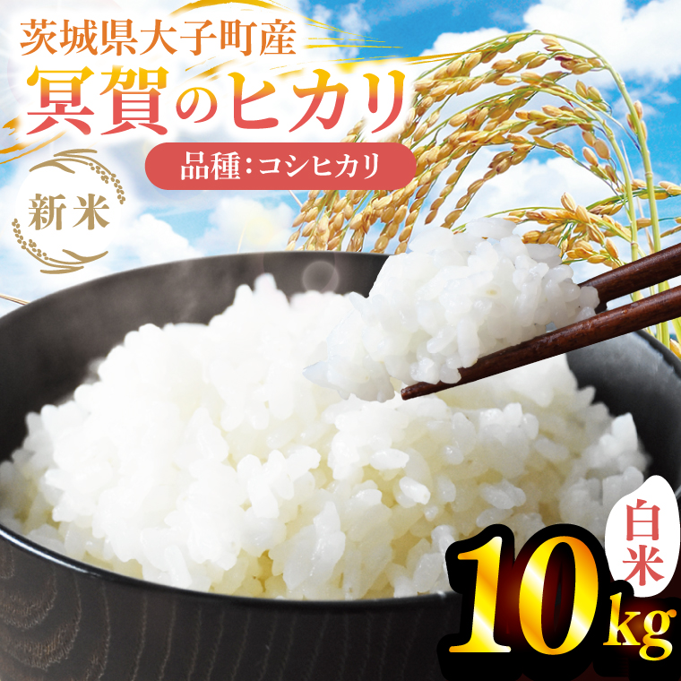 【先行予約】【9月下旬より順次発送予定】新米10kg 「冥賀のヒカリ」コシヒカリ（白米）令和7年産 ｜茨城県 大子町 奥久慈  米 精米 ご飯 数量限定(DA002)