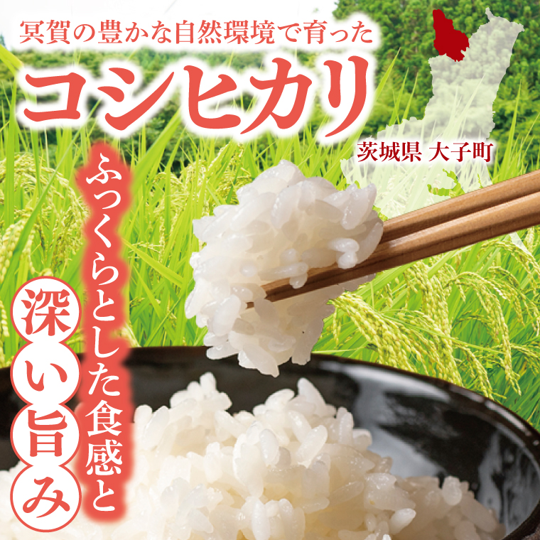 【先行予約】【9月下旬より順次発送予定】新米10kg 「冥賀のヒカリ」コシヒカリ（白米）令和7年産 ｜茨城県 大子町 奥久慈  米 精米 ご飯 数量限定(DA002)