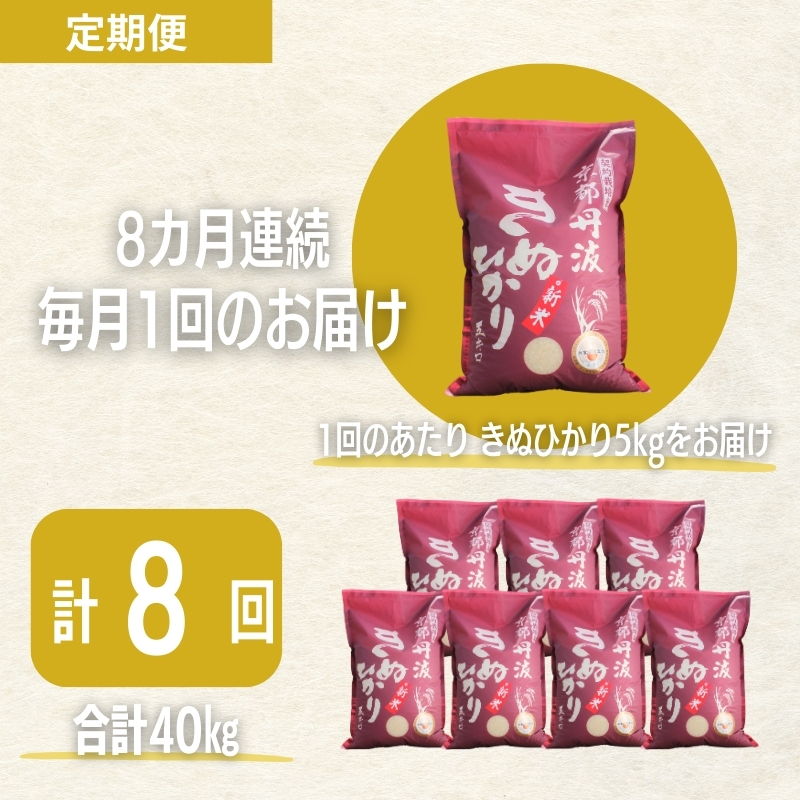 【8カ月定期便】令和7年産 新米 京都丹波産 きぬひかり 5kg 合計40kg