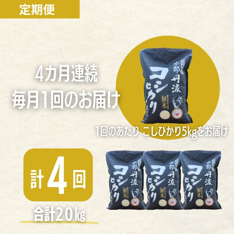 【4カ月定期便】令和7年産 新米 京都丹波産 こしひかり 5kg 合計20kg