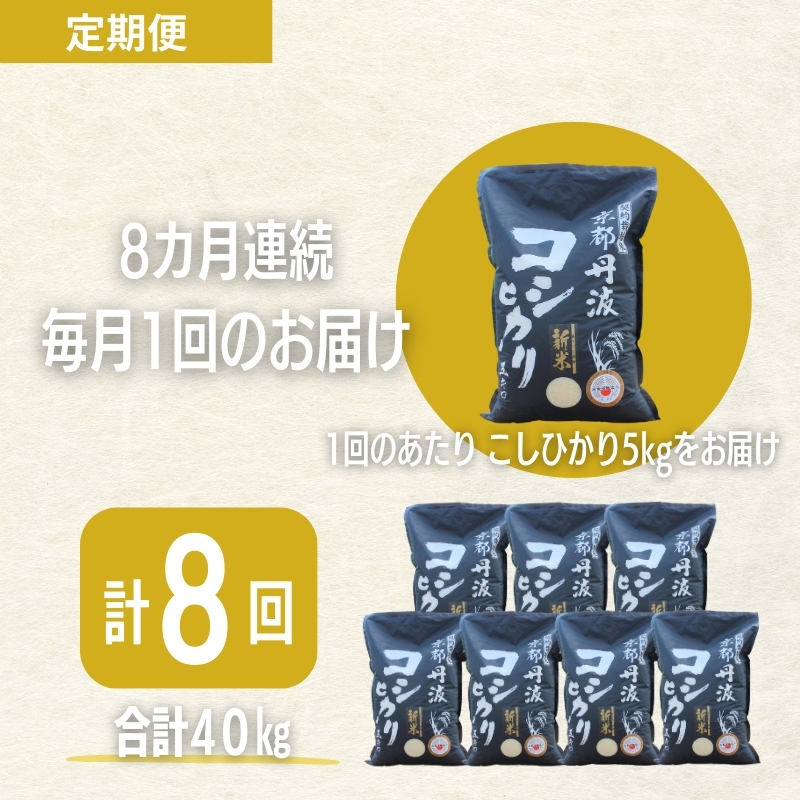 【8カ月定期便】令和7年産 新米 京都丹波産 こしひかり 5kg 合計40kg