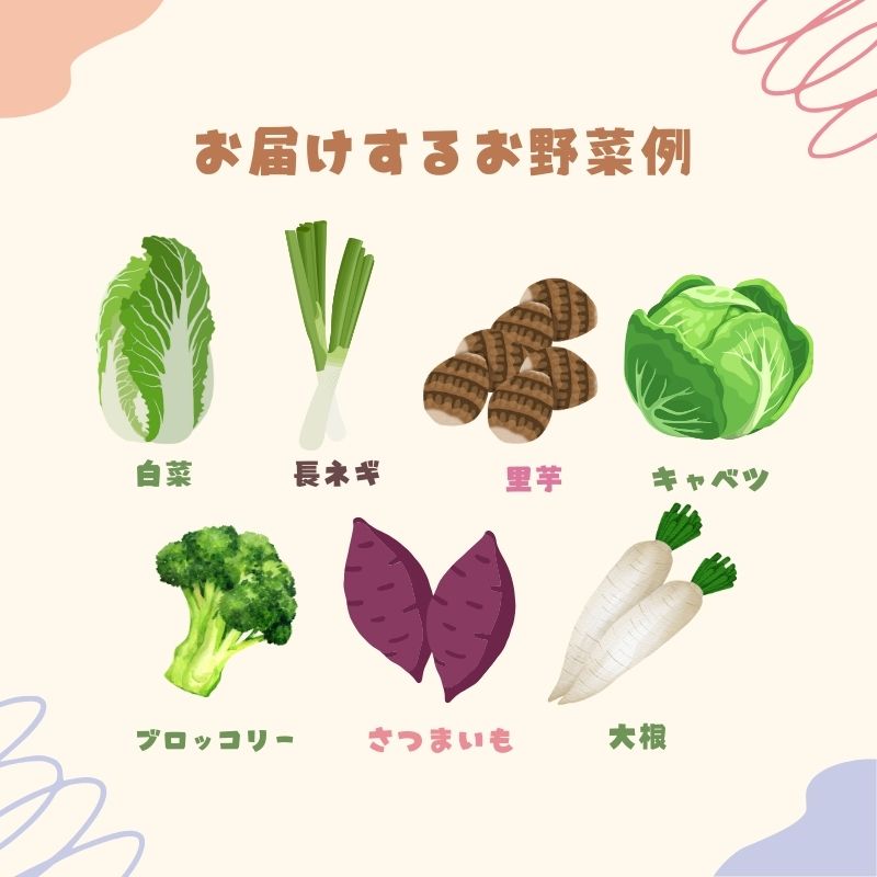 季節の野菜 おまかせ野菜セット 詰合せ 白菜 キャベツ ブロッコリー さつまいも 長ねぎ 大根 さといも 季節 旬 野菜 詰め合せ 国産 おまかせ 産地直送 秋野菜 冬野菜 葉物 冷蔵 野菜室