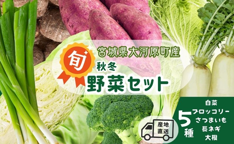 季節の野菜 野菜セットA 5種 白菜 ブロッコリー さつまいも 長ねぎ 大根 詰合せ 季節 旬 野菜 詰め合せ 国産 産地直送 秋野菜 冬野菜 葉物 冷蔵 野菜室