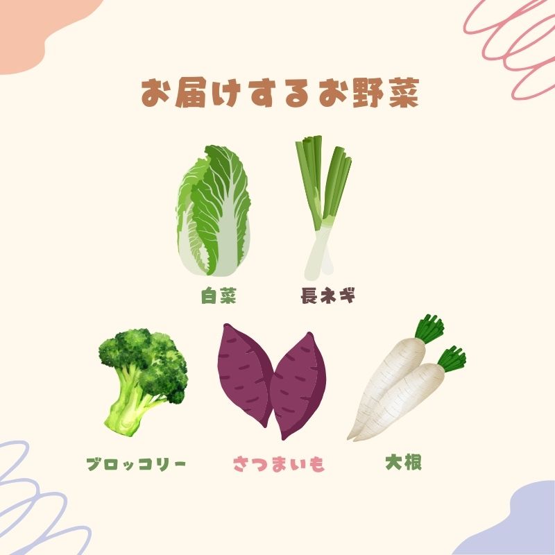 季節の野菜 野菜セットA 5種 白菜 ブロッコリー さつまいも 長ねぎ 大根 詰合せ 季節 旬 野菜 詰め合せ 国産 産地直送 秋野菜 冬野菜 葉物 冷蔵 野菜室