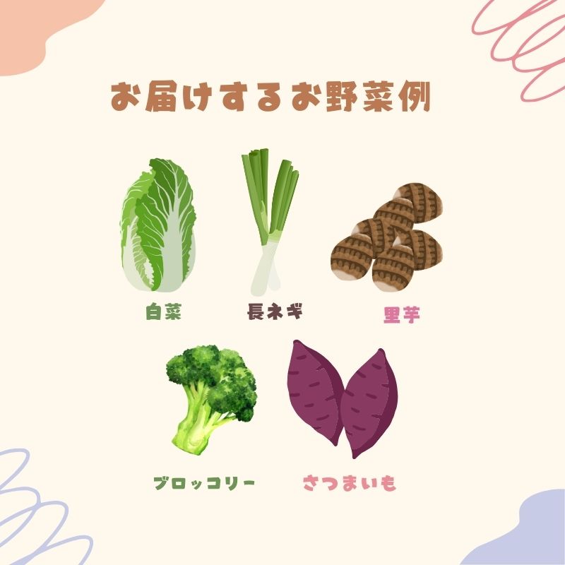季節の野菜 野菜セットD 5種 白菜 ブロッコリー さつまいも 長ねぎ さといも 詰合せ 季節 旬 野菜 詰め合せ 国産 産地直送 秋野菜 冬野菜 葉物 冷蔵 野菜室