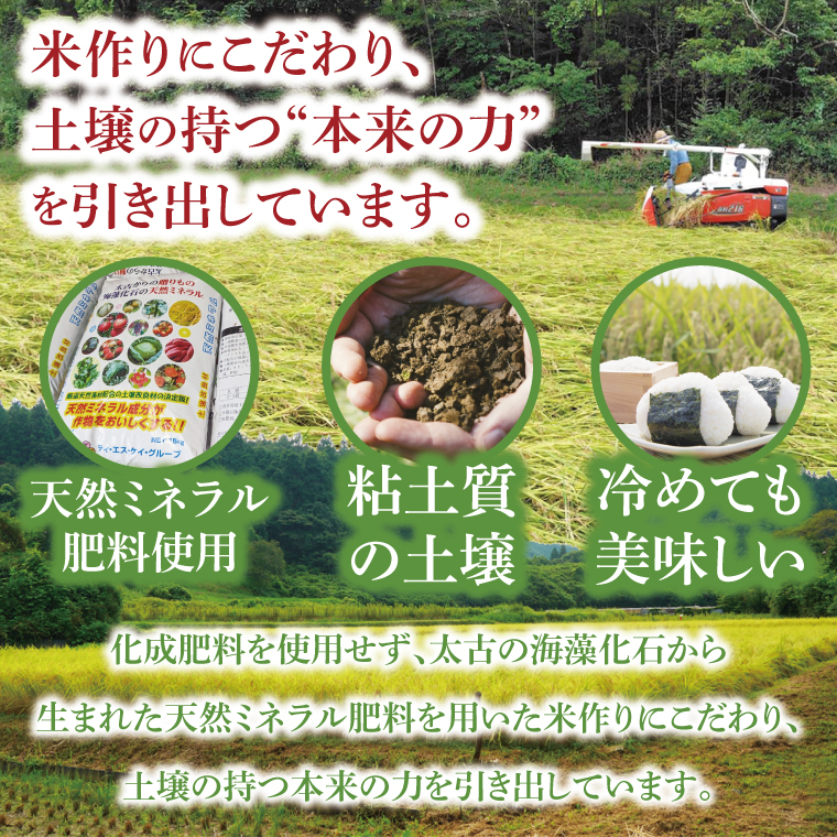 令和7年産「名土のみやげ」コシヒカリ（白米）5kg｜茨城県 大子町 奥久慈 米 精米 ご飯 数量限定(DB001)