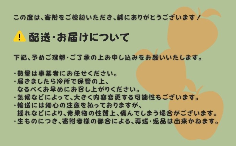 大河原町のりんご りんご  品種おまかせ 約5kg 果物 フルーツ 期間限定 季節限定 リンゴ